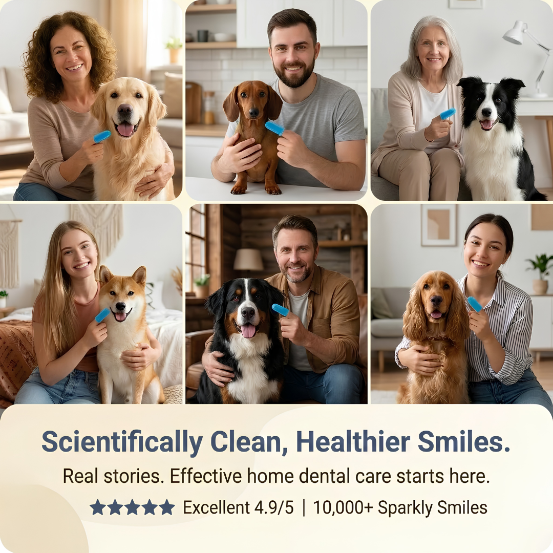 Pet Oral Care Finger Toothbrush Set (2-PCS)