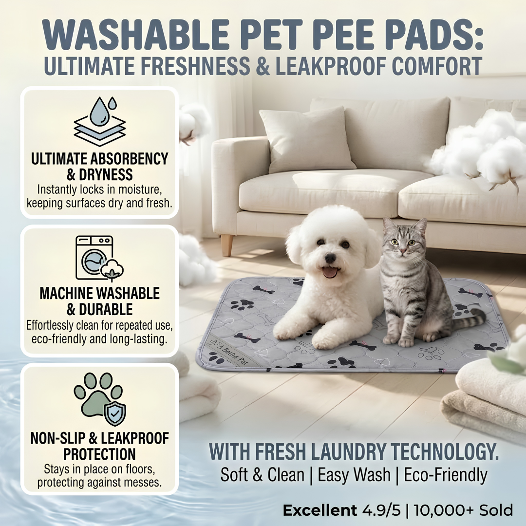 Washable Dogs and Cats Pee Pads (Small / Medium / Large)