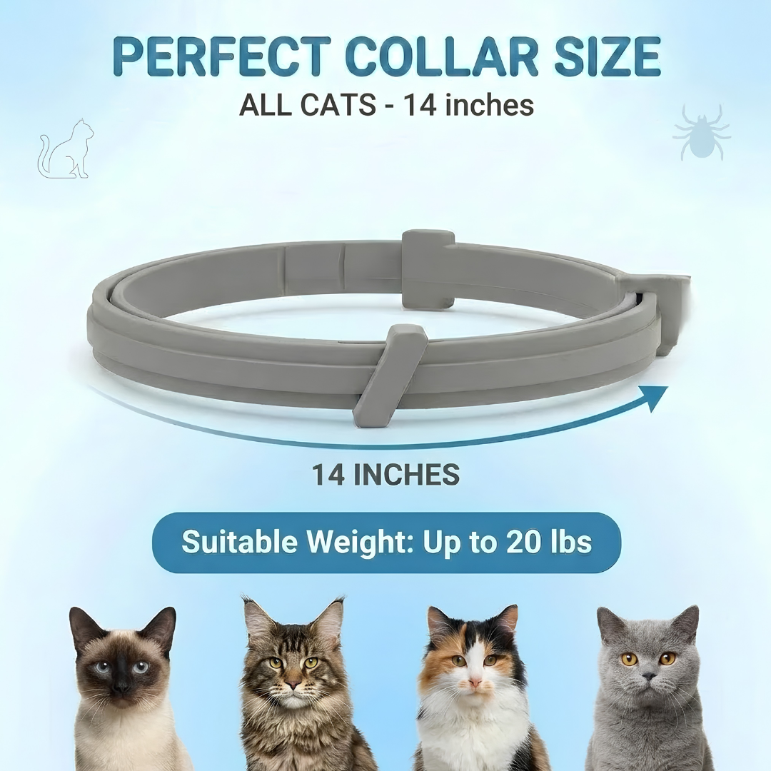 Pet Anti Flea & Tick Neck Collar