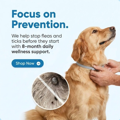Pet Anti Flea & Tick Neck Collar