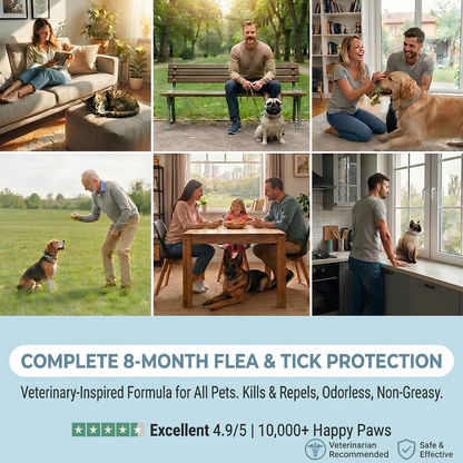 Pet Anti Flea & Tick Neck Collar