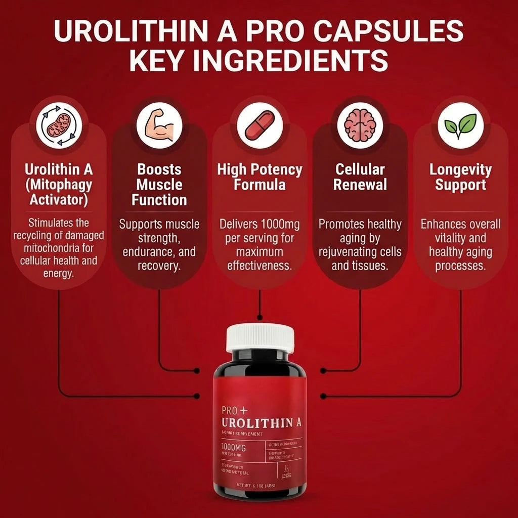 Urolithin A – 1000mg (120 Capsules)