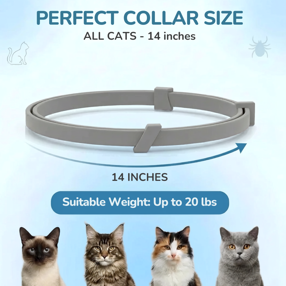 Pet Anti Flea & Tick Neck Collar