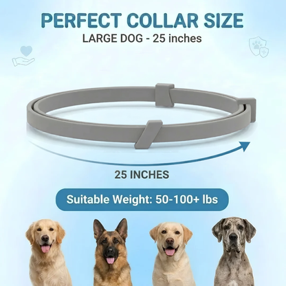 Pet Anti Flea & Tick Neck Collar