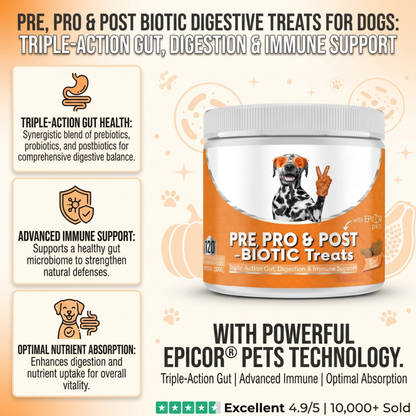 Pre, Pro & Postbiotic Digestive Treats For Dogs