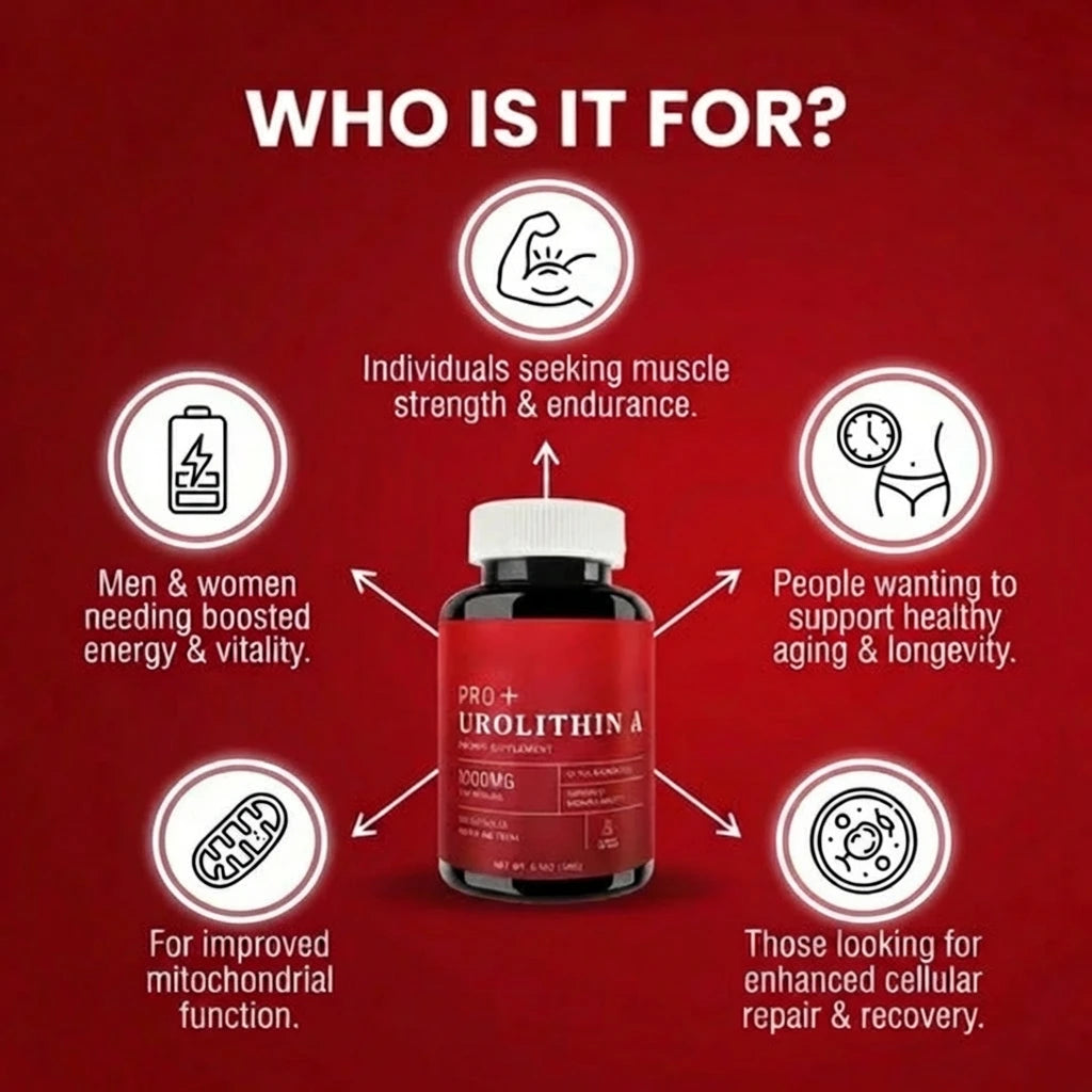 Urolithin A – 1000mg (120 Capsules)