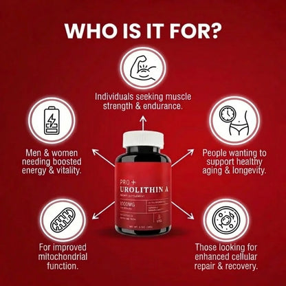 Urolithin A – 1000mg (120 Capsules)