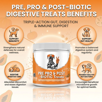 Pre, Pro & Postbiotic Digestive Treats For Dogs