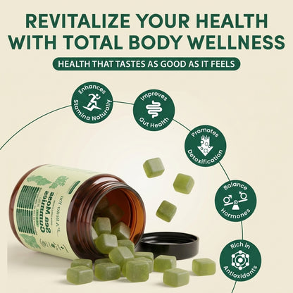 Sea Moss Gummies 16-in-1