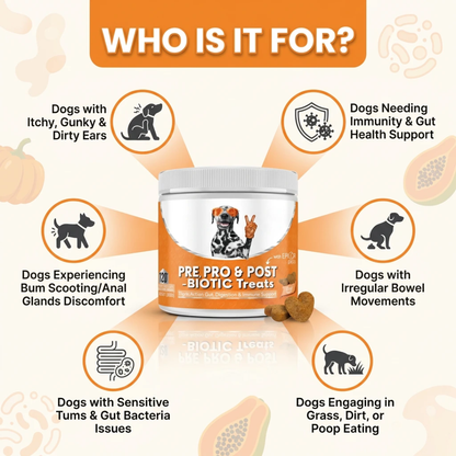 Pre, Pro & Postbiotic Digestive Treats For Dogs