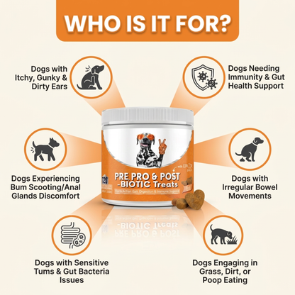 Pre, Pro & Postbiotic Digestive Treats For Dogs