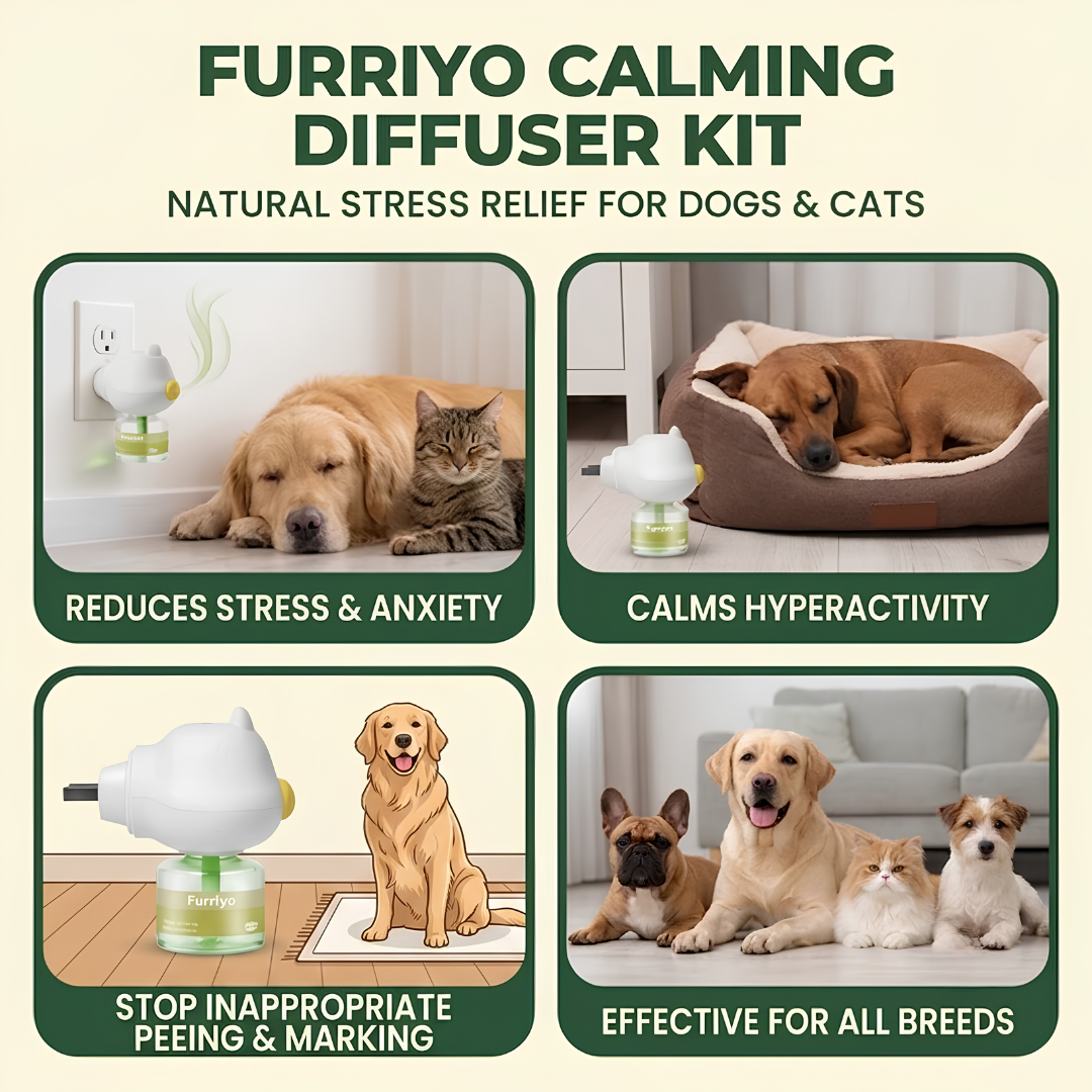 Dog Calming Diffuser Kit