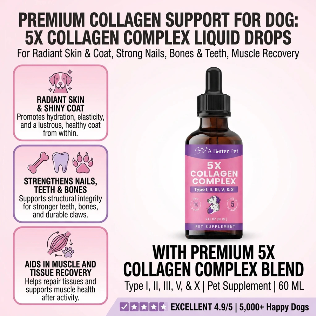 Premium Collagen for Dogs (60ml)