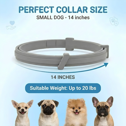 Pet Anti Flea & Tick Neck Collar