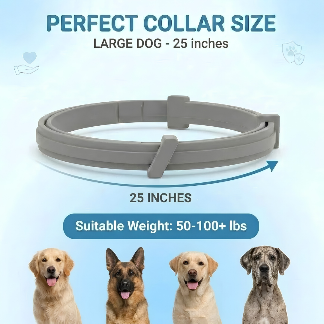 Pet Anti Flea & Tick Neck Collar