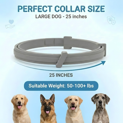Pet Anti Flea & Tick Neck Collar