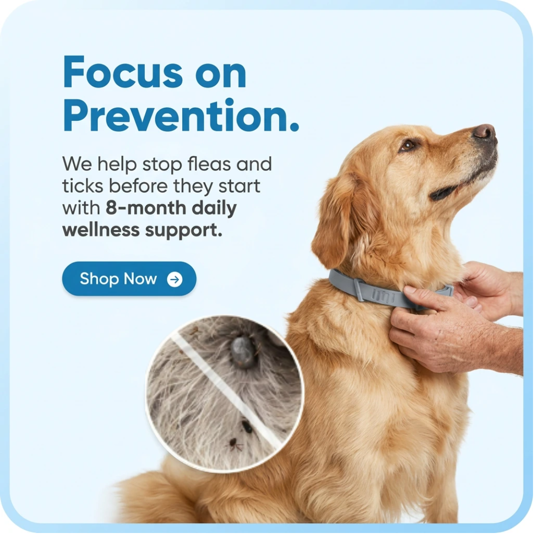 Pet Anti Flea & Tick Neck Collar
