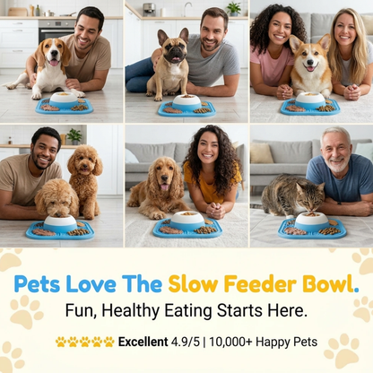 Slow Feeder Pet Bowl