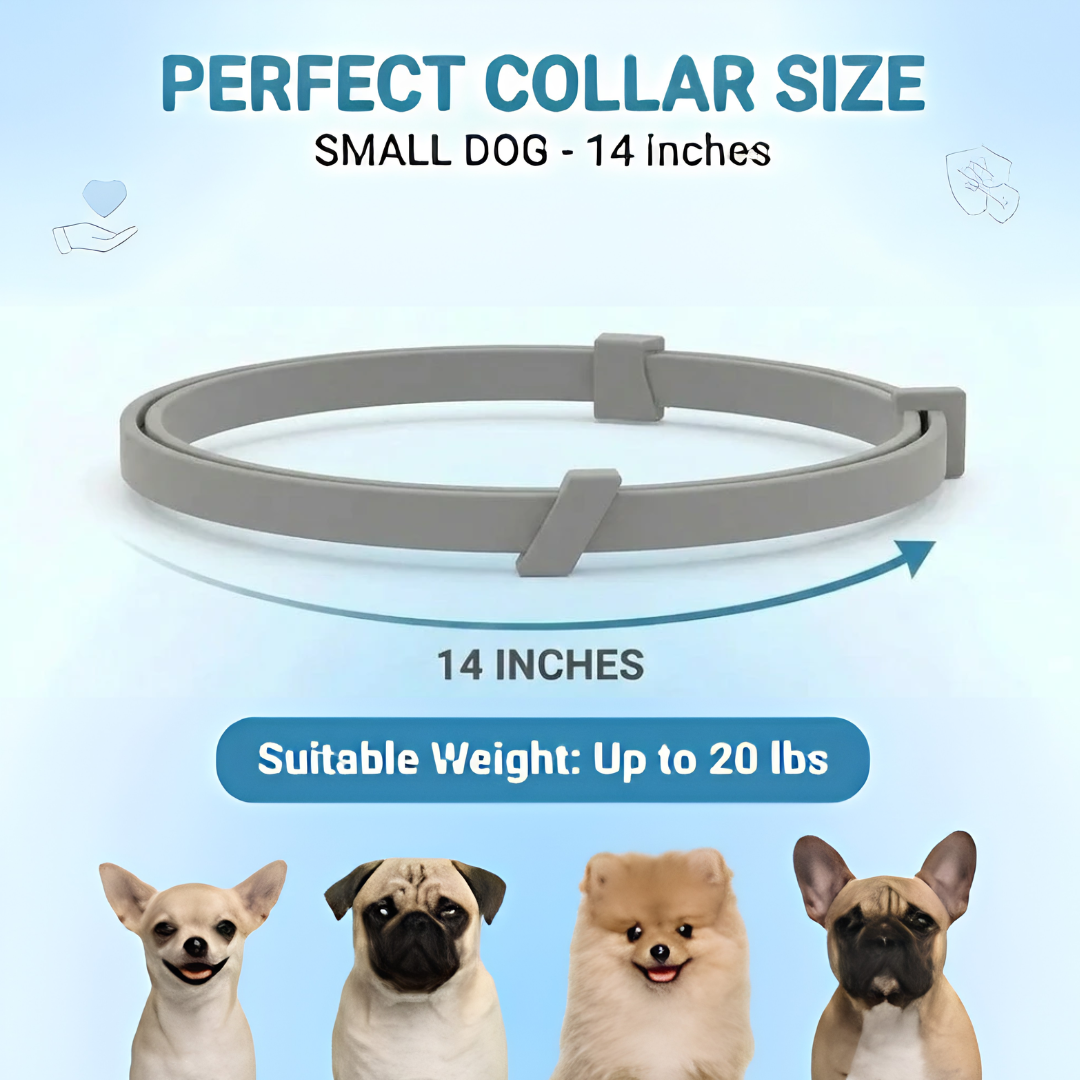 Pet Anti Flea & Tick Neck Collar