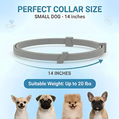 Pet Anti Flea & Tick Neck Collar