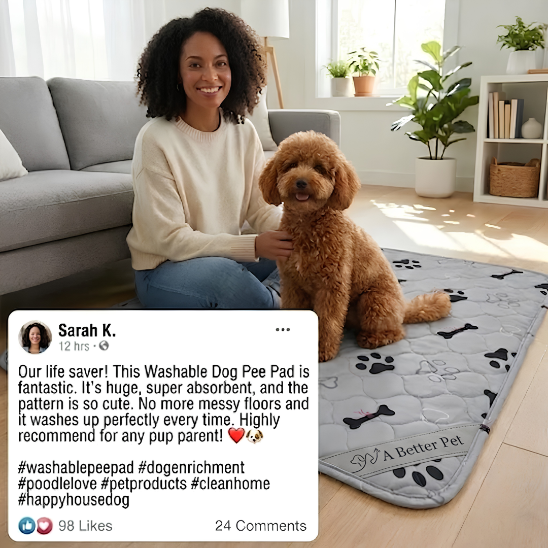 Washable Dogs and Cats Pee Pads (Small / Medium / Large)