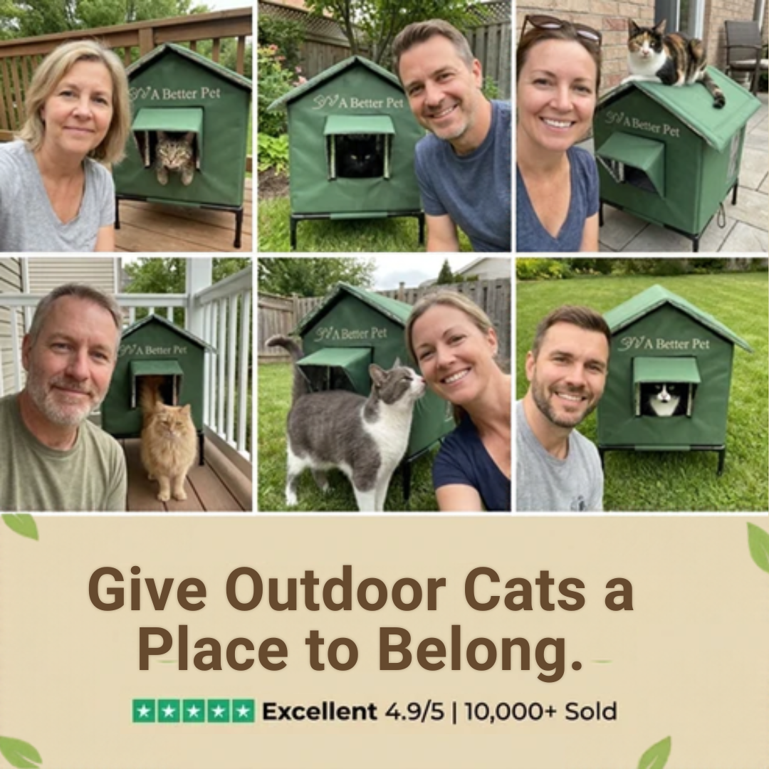 Outdoor Cat House Weatherproof (Medium / Large)