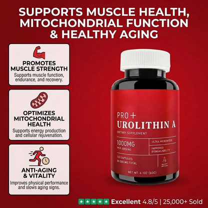 Urolithin A – 1000mg (120 Capsules)
