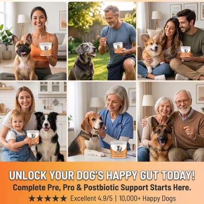 Pre, Pro & Postbiotic Digestive Treats For Dogs