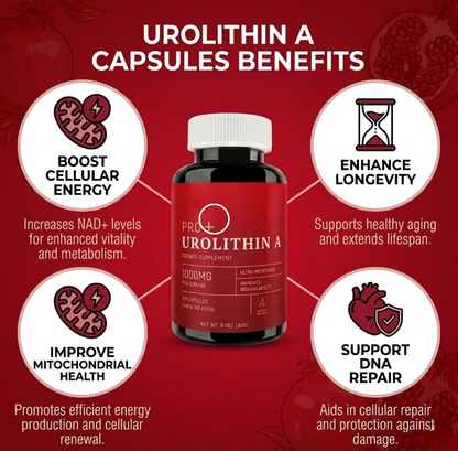 Urolithin A – 1000mg (120 Capsules)