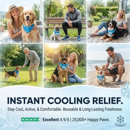 Dog Cooling Bandana (Small / Medium / Large / Extra Large) (Pre-order)