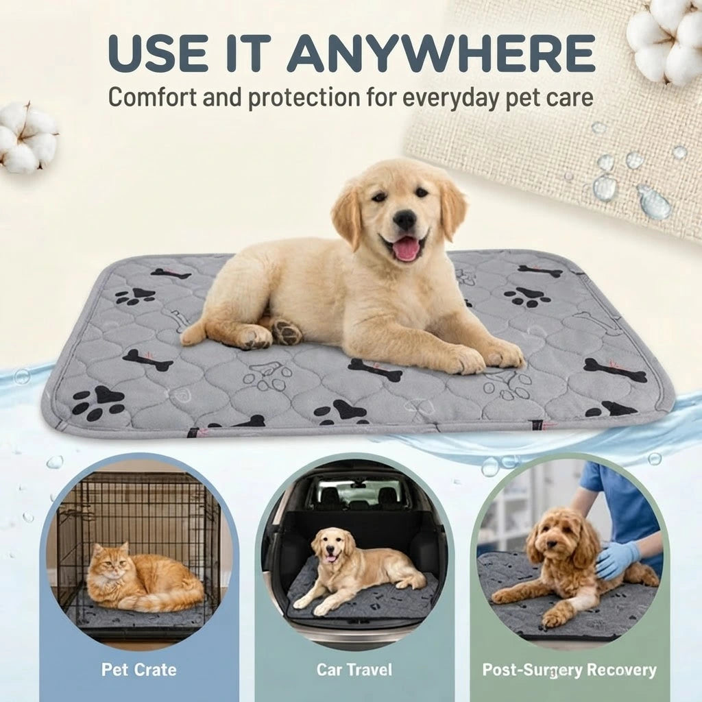 Washable Dogs and Cats Pee Pads (Small / Medium / Large)