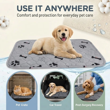 Washable Dogs and Cats Pee Pads (Small / Medium / Large)