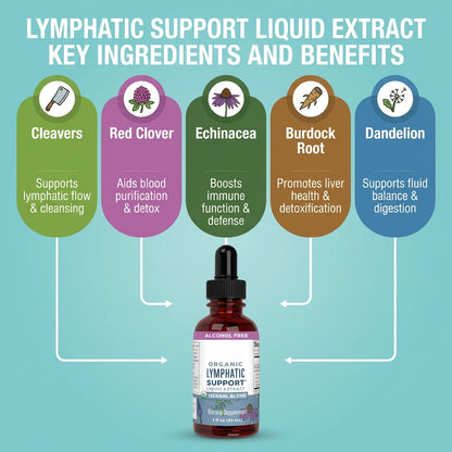 Lymphatic Support Liquid Extract - 30ml