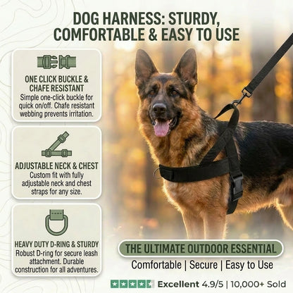 Dog Harness (Small / Medium / Large / Extra Large)