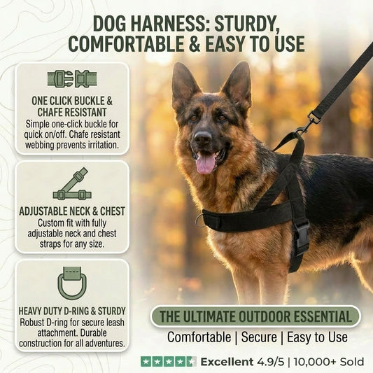 Dog Harness (Small / Medium / Large / Extra Large)