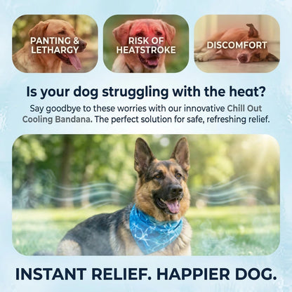 Dog Cooling Bandana (Small / Medium / Large / Extra Large) (Pre-order)