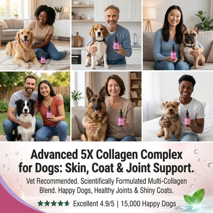 Premium Collagen for Dogs (60mL)