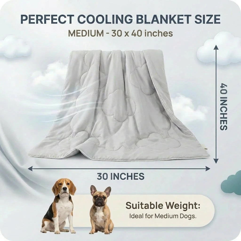 Washable Dog Cooling Throw Blanket (Small / Medium / Large / Extra Large)