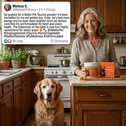 Taurine Powder for Dogs