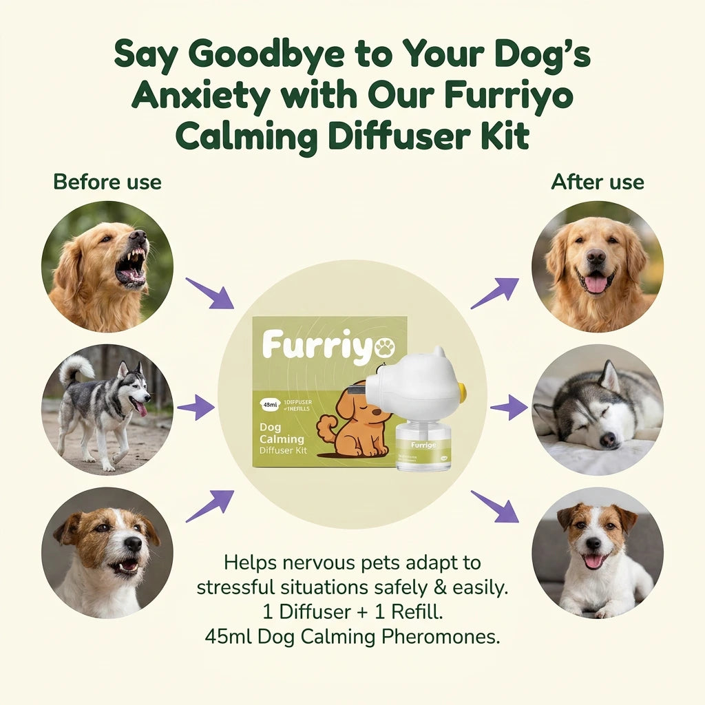 Dog Calming Diffuser Kit