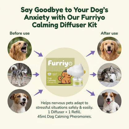 Dog Calming Diffuser Kit