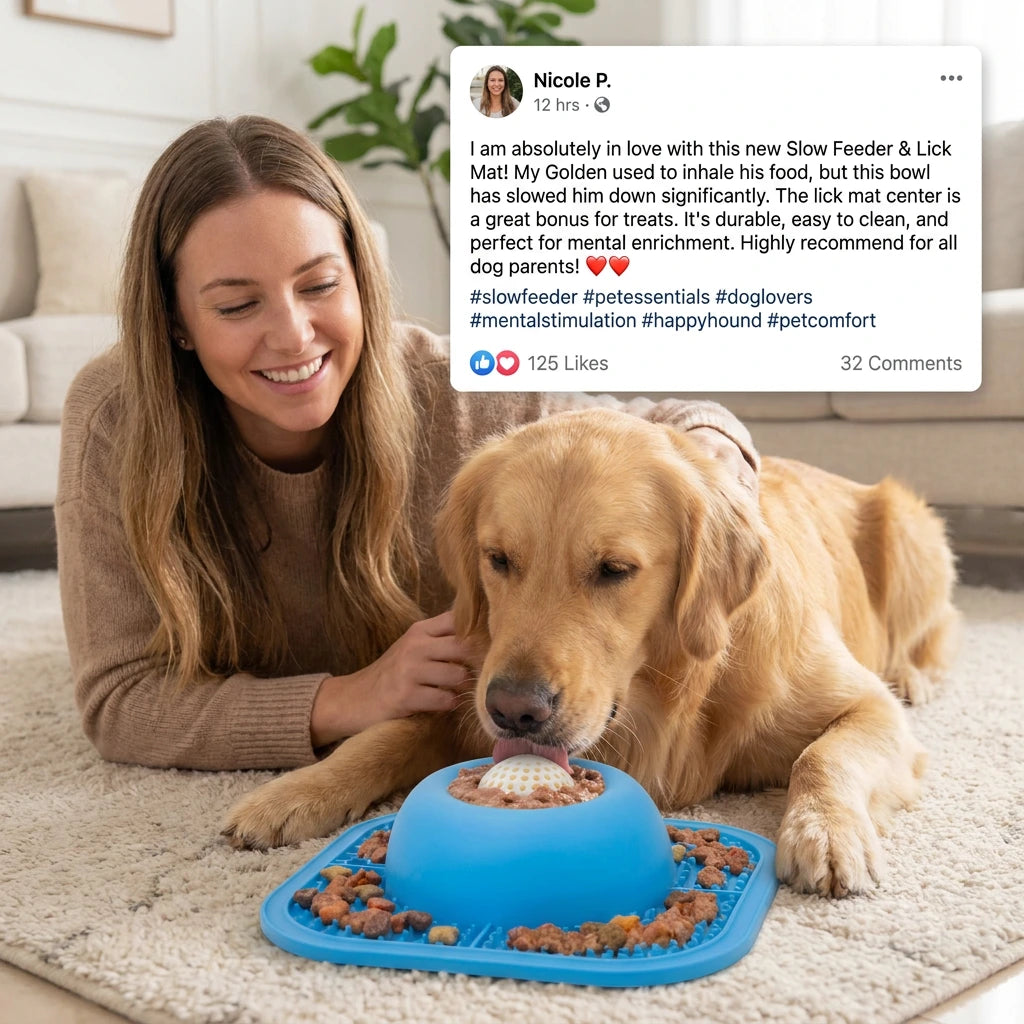 Slow Feeder Pet Bowl