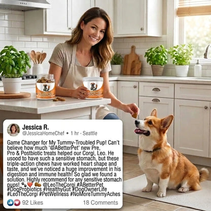 Pre, Pro & Postbiotic Digestive Treats For Dogs