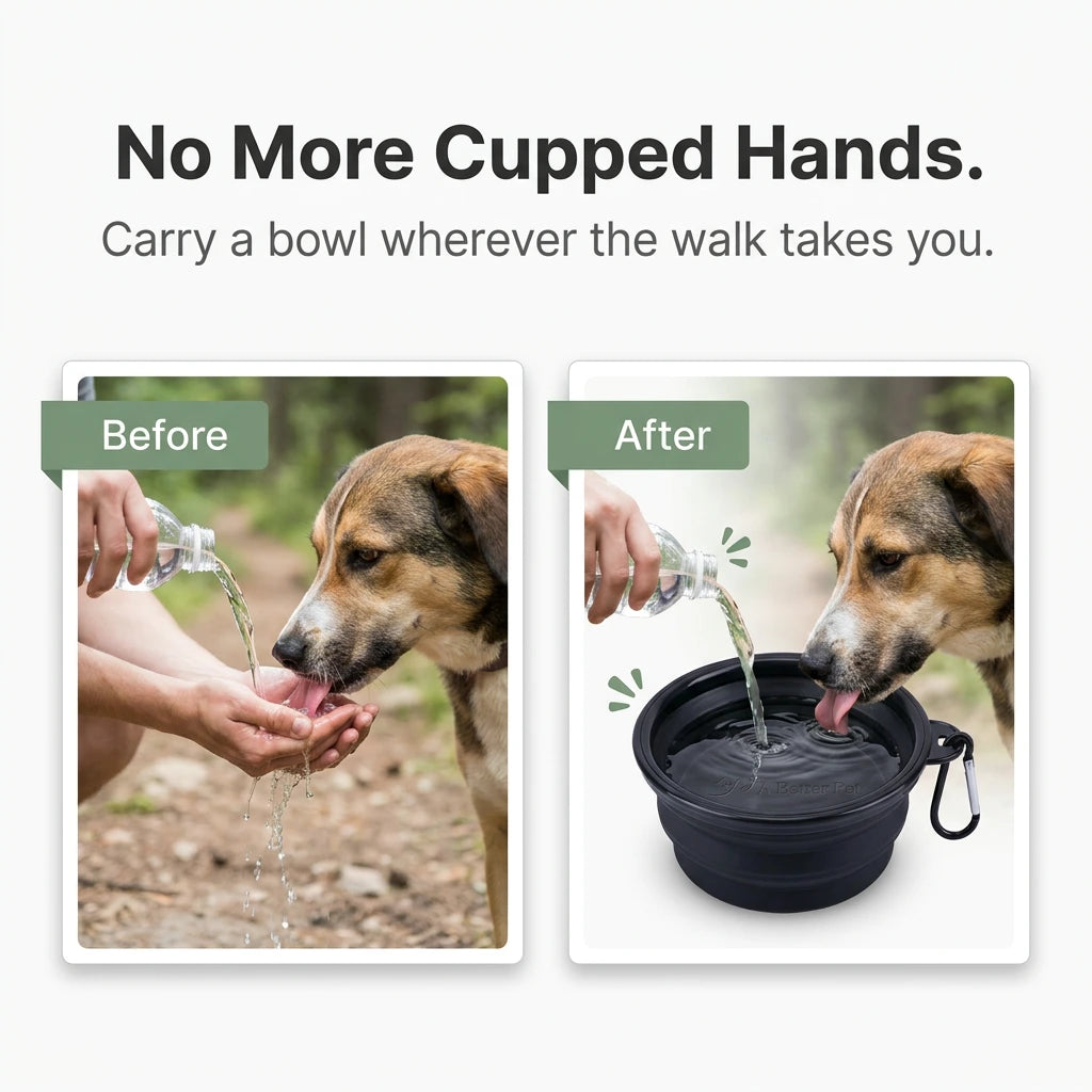 Pet Travel Bowl