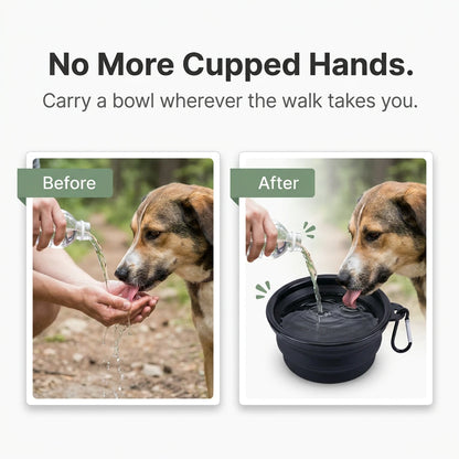 Pet Travel Bowl