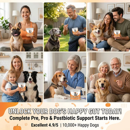 Pre, Pro & Postbiotic Digestive Treats For Dogs
