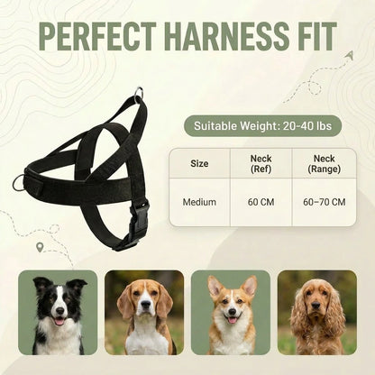 Dog Harness (Small / Medium / Large / Extra Large)