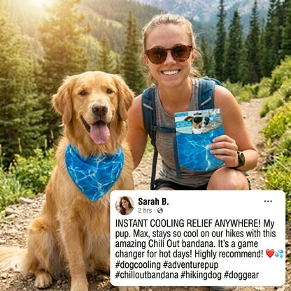 Dog Cooling Bandana (Small / Medium / Large / Extra Large) (Pre-order)