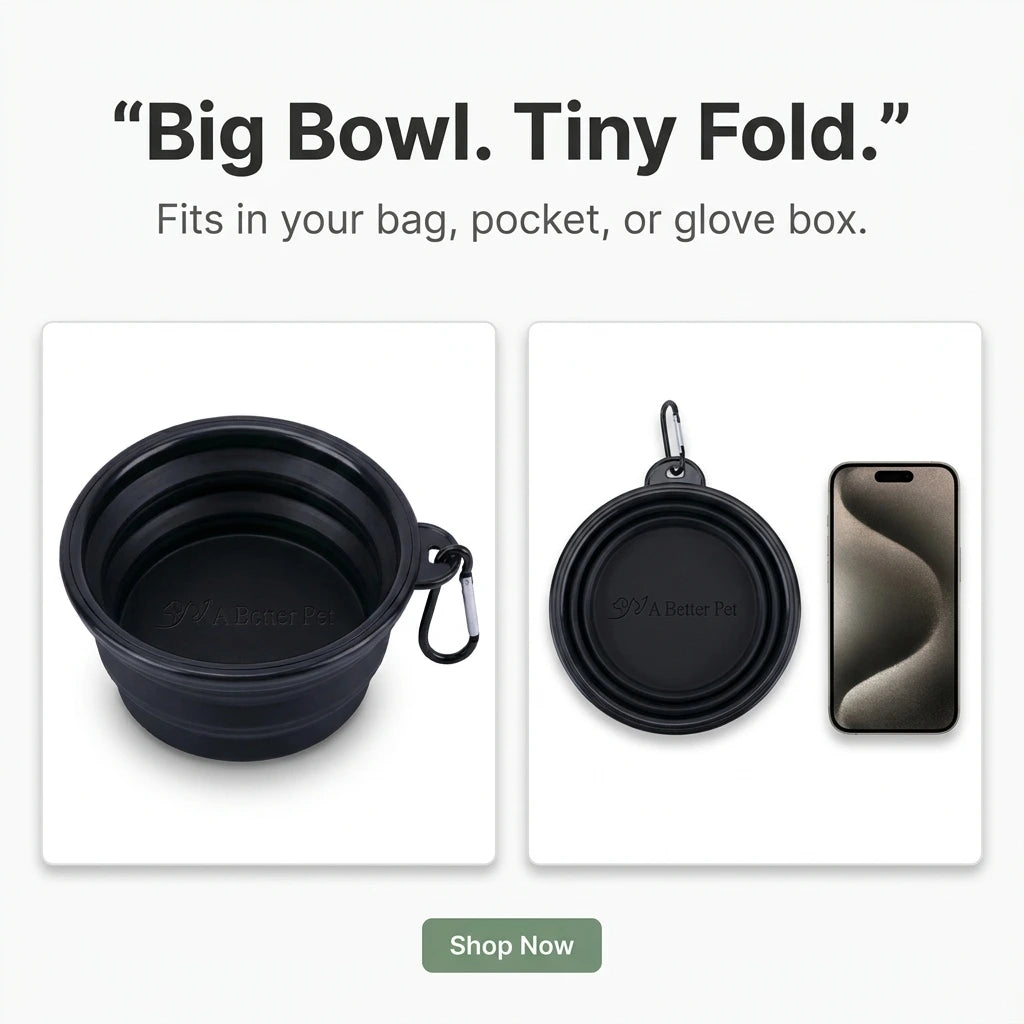 Pet Travel Bowl