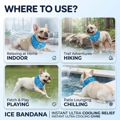 Dog Cooling Bandana (Small / Medium / Large / Extra Large) (Pre-order)